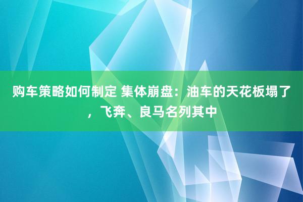 购车策略如何制定 集体崩盘：油车的天花板塌了，飞奔、良马名列其中