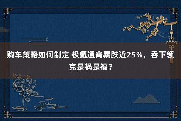 购车策略如何制定 极氪通宵暴跌近25%，吞下领克是祸是福？