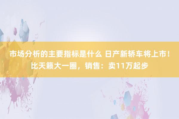 市场分析的主要指标是什么 日产新轿车将上市！比天籁大一圈，销售：卖11万起步