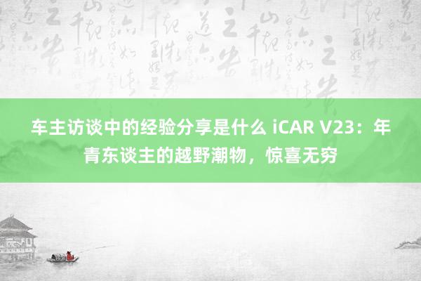 车主访谈中的经验分享是什么 iCAR V23：年青东谈主的越野潮物，惊喜无穷