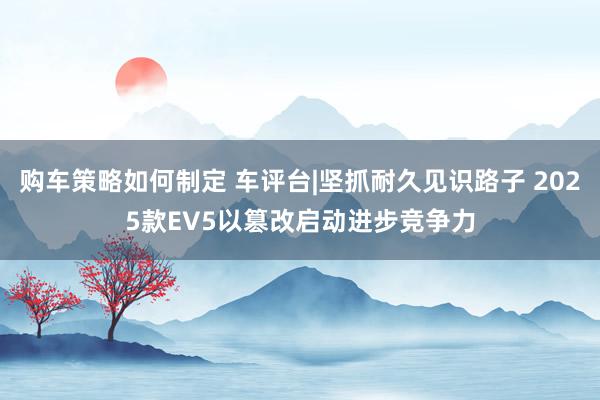 购车策略如何制定 车评台|坚抓耐久见识路子 2025款EV5以篡改启动进步竞争力