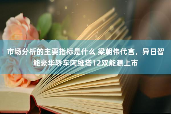 市场分析的主要指标是什么 梁朝伟代言，异日智能豪华轿车阿维塔12双能源上市