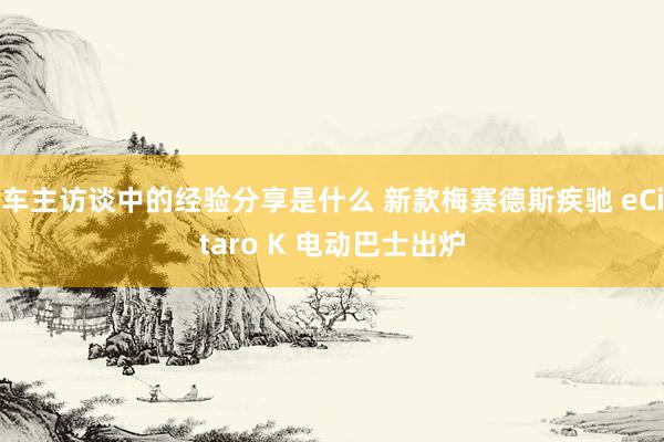 车主访谈中的经验分享是什么 新款梅赛德斯疾驰 eCitaro K 电动巴士出炉