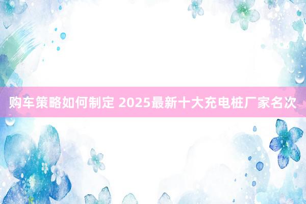 购车策略如何制定 2025最新十大充电桩厂家名次