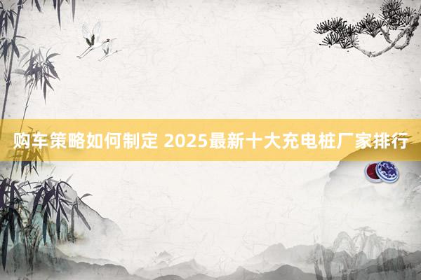 购车策略如何制定 2025最新十大充电桩厂家排行