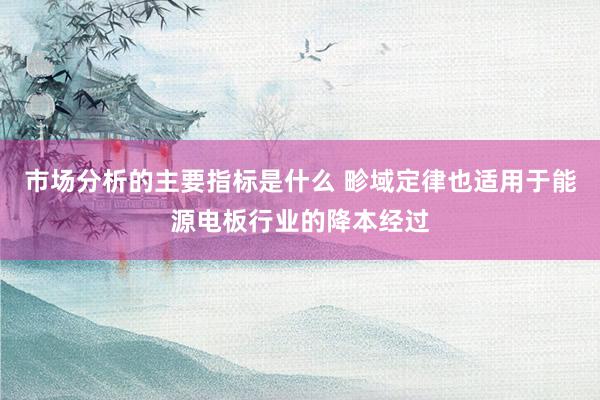 市场分析的主要指标是什么 畛域定律也适用于能源电板行业的降本经过