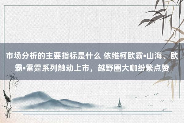 市场分析的主要指标是什么 依维柯欧霸•山海、欧霸•雷霆系列触动上市，越野圈大咖纷繁点赞