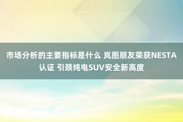 市场分析的主要指标是什么 岚图朋友荣获NESTA认证 引颈纯电SUV安全新高度