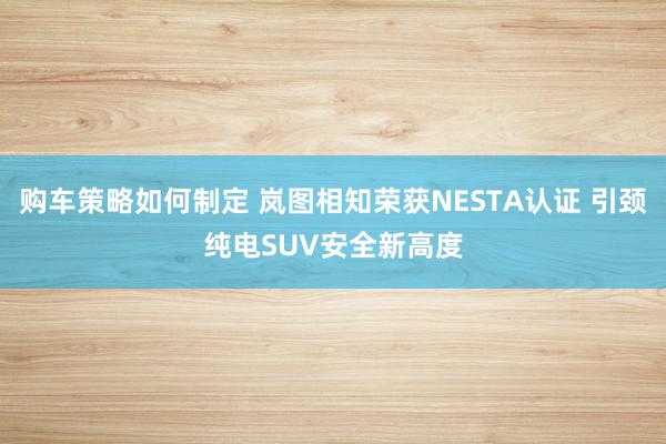 购车策略如何制定 岚图相知荣获NESTA认证 引颈纯电SUV安全新高度