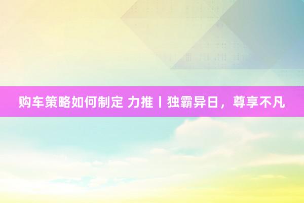 购车策略如何制定 力推丨独霸异日，尊享不凡