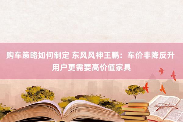 购车策略如何制定 东风风神王鹏：车价非降反升 用户更需要高价值家具