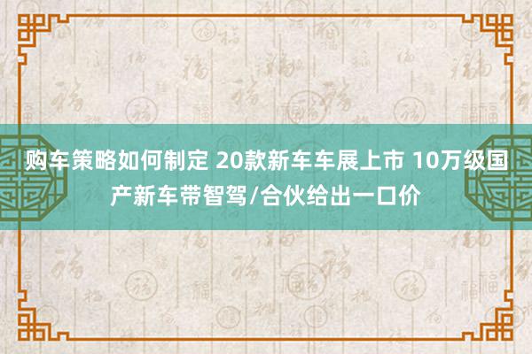 购车策略如何制定 20款新车车展上市 10万级国产新车带智驾/合伙给出一口价