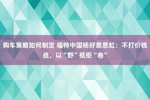 购车策略如何制定 福特中国杨好意思虹：不打价钱战，以“野”抵拒“卷”