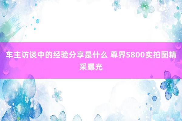 车主访谈中的经验分享是什么 尊界S800实拍图精采曝光