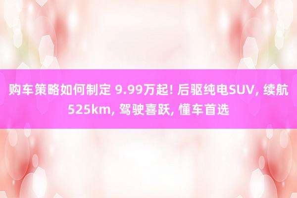 购车策略如何制定 9.99万起! 后驱纯电SUV, 续航525km, 驾驶喜跃, 懂车首选