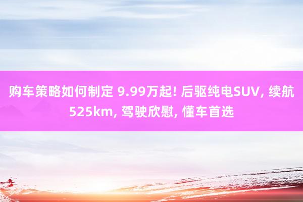 购车策略如何制定 9.99万起! 后驱纯电SUV, 续航525km, 驾驶欣慰, 懂车首选