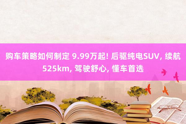 购车策略如何制定 9.99万起! 后驱纯电SUV, 续航525km, 驾驶舒心, 懂车首选