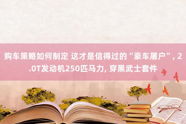 购车策略如何制定 这才是信得过的“豪车屠户”, 2.0T发动机250匹马力, 穿黑武士套件