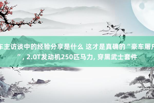 车主访谈中的经验分享是什么 这才是真确的“豪车屠户”, 2.0T发动机250匹马力, 穿黑武士套件