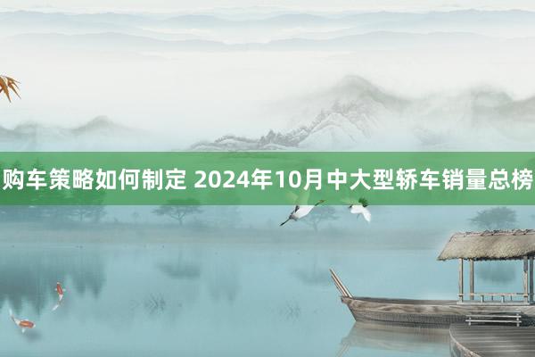 购车策略如何制定 2024年10月中大型轿车销量总榜