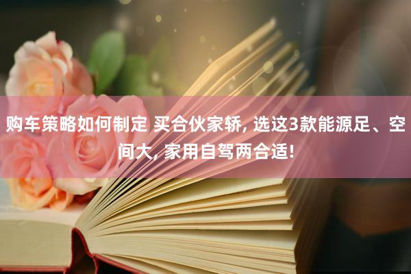 购车策略如何制定 买合伙家轿, 选这3款能源足、空间大, 家用自驾两合适!