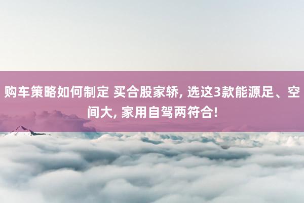 购车策略如何制定 买合股家轿, 选这3款能源足、空间大, 家用自驾两符合!