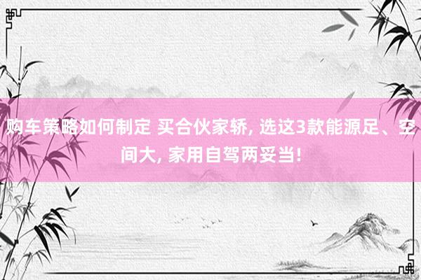 购车策略如何制定 买合伙家轿, 选这3款能源足、空间大, 家用自驾两妥当!