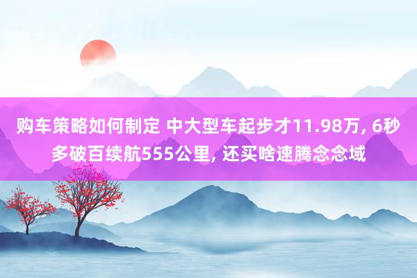 购车策略如何制定 中大型车起步才11.98万, 6秒多破百续航555公里, 还买啥速腾念念域