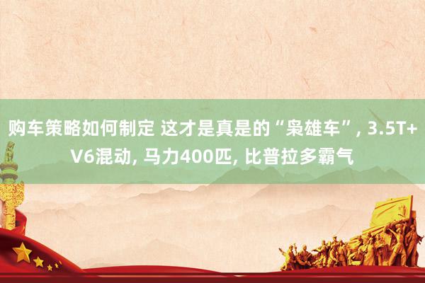 购车策略如何制定 这才是真是的“枭雄车”, 3.5T+V6混动, 马力400匹, 比普拉多霸气