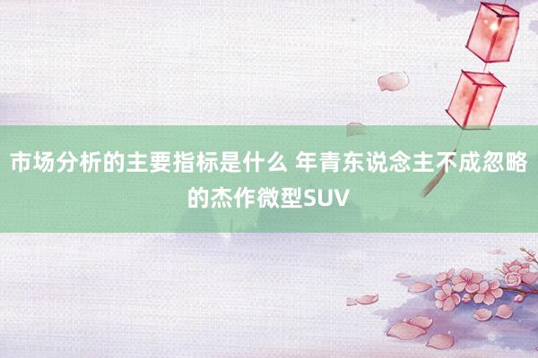 市场分析的主要指标是什么 年青东说念主不成忽略的杰作微型SUV