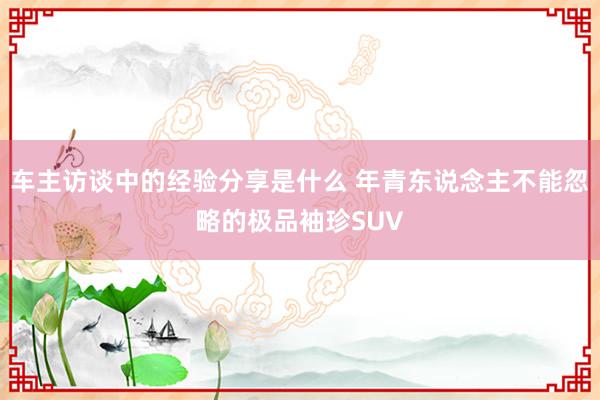 车主访谈中的经验分享是什么 年青东说念主不能忽略的极品袖珍SUV