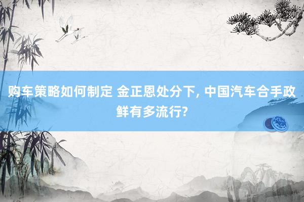 购车策略如何制定 金正恩处分下, 中国汽车合手政鲜有多流行?