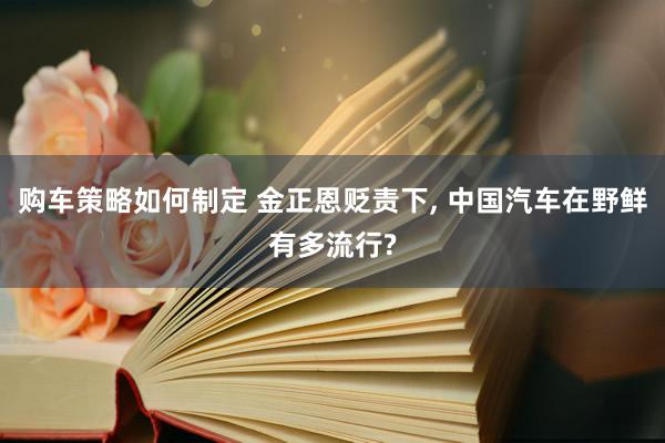 购车策略如何制定 金正恩贬责下, 中国汽车在野鲜有多流行?