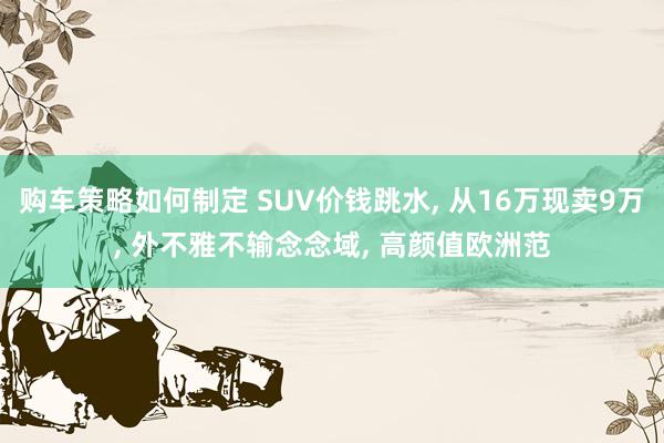 购车策略如何制定 SUV价钱跳水, 从16万现卖9万, 外不雅不输念念域, 高颜值欧洲范