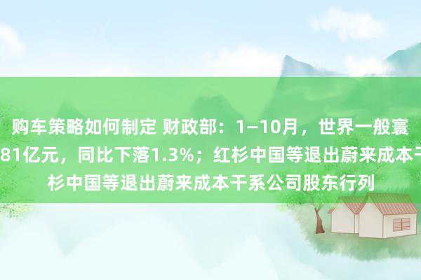 购车策略如何制定 财政部：1—10月，世界一般寰球预算收入184981亿元，同比下落1.3%；红杉中国等退出蔚来成本干系公司股东行列