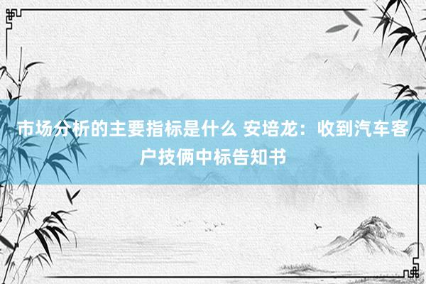 市场分析的主要指标是什么 安培龙：收到汽车客户技俩中标告知书