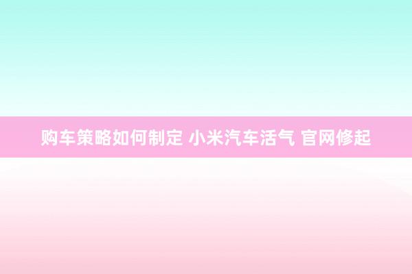 购车策略如何制定 小米汽车活气 官网修起