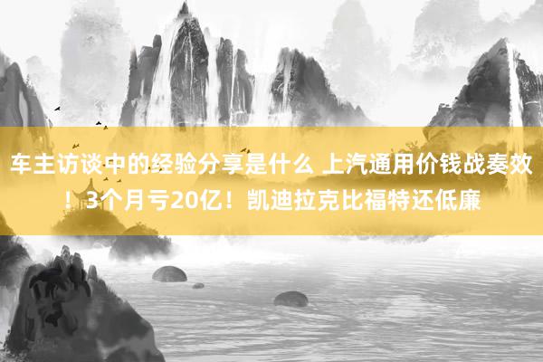 车主访谈中的经验分享是什么 上汽通用价钱战奏效！3个月亏20亿！凯迪拉克比福特还低廉