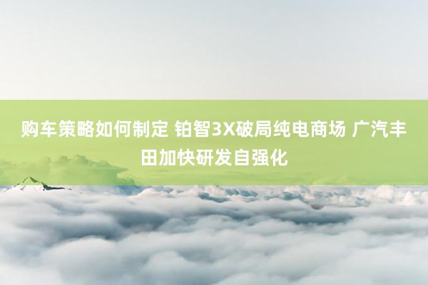 购车策略如何制定 铂智3X破局纯电商场 广汽丰田加快研发自强化