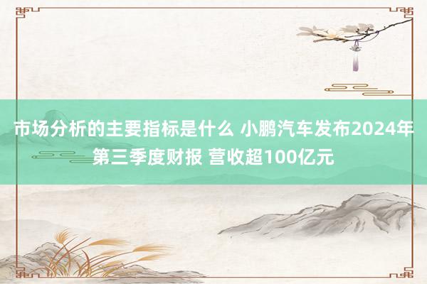 市场分析的主要指标是什么 小鹏汽车发布2024年第三季度财报 营收超100亿元