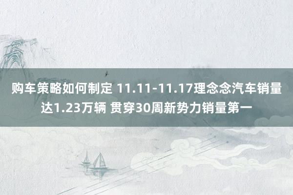 购车策略如何制定 11.11-11.17理念念汽车销量达1.23万辆 贯穿30周新势力销量第一