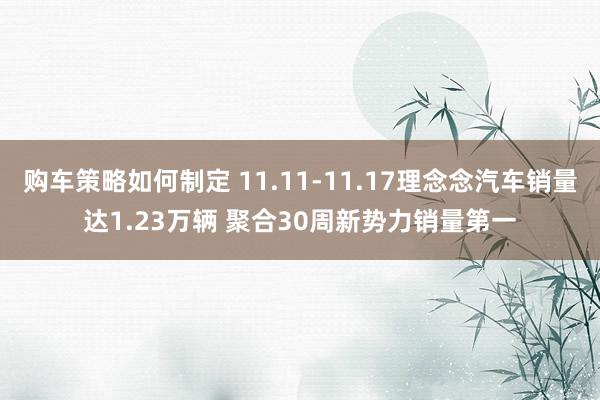 购车策略如何制定 11.11-11.17理念念汽车销量达1.23万辆 聚合30周新势力销量第一