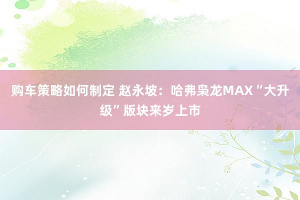 购车策略如何制定 赵永坡：哈弗枭龙MAX“大升级”版块来岁上市