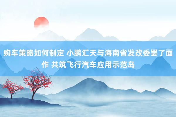 购车策略如何制定 小鹏汇天与海南省发改委罢了面作 共筑飞行汽车应用示范岛