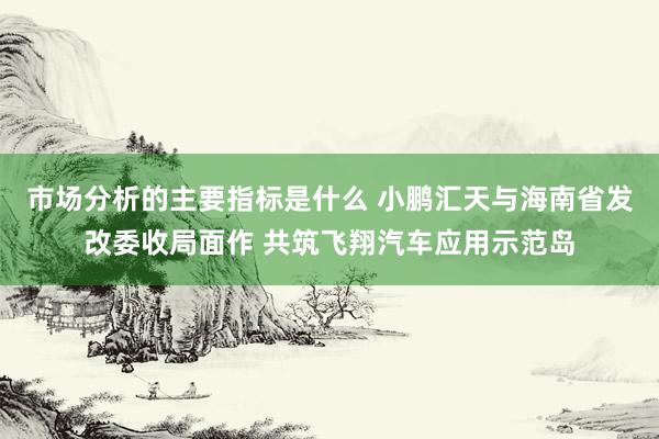 市场分析的主要指标是什么 小鹏汇天与海南省发改委收局面作 共筑飞翔汽车应用示范岛